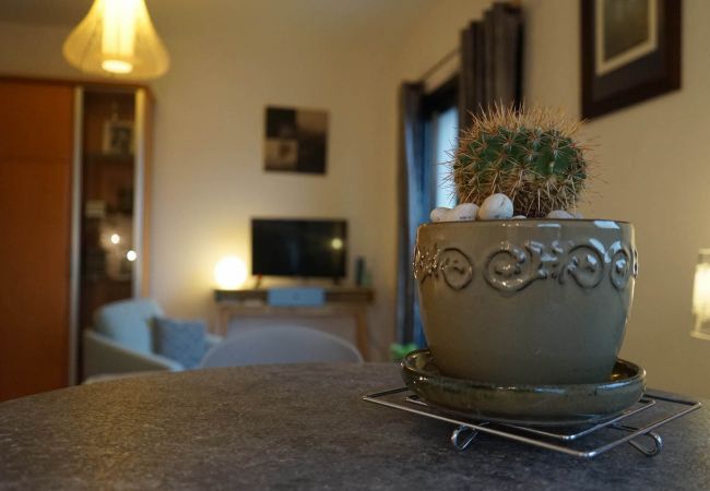 Studio à Brive-la-Gaillarde - Les Frères Lumières - 1 Chambre Studio à Brive-la-Gaillarde - Les Frères Lumières - 1 Chambre