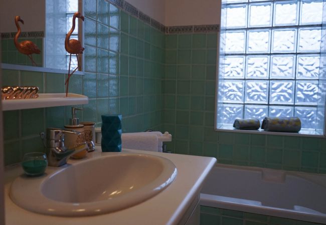 Studio à Brive-la-Gaillarde - Les Frères Lumières - 1 Chambre Studio à Brive-la-Gaillarde - Les Frères Lumières - 1 Chambre