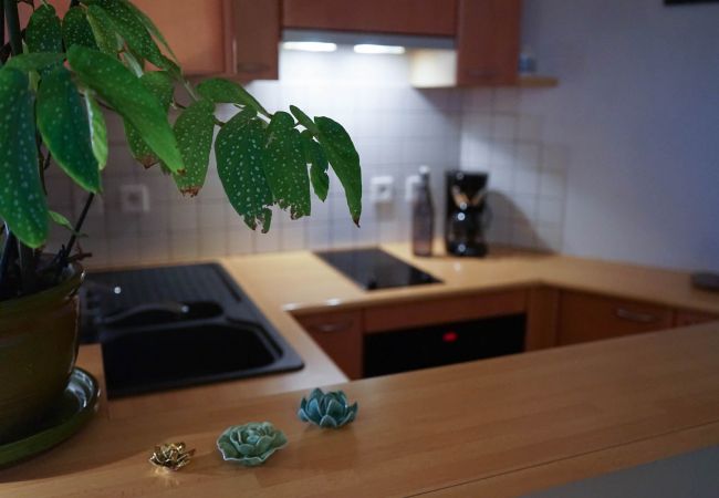 Studio à Brive-la-Gaillarde - Les Frères Lumières - 1 Chambre Studio à Brive-la-Gaillarde - Les Frères Lumières - 1 Chambre