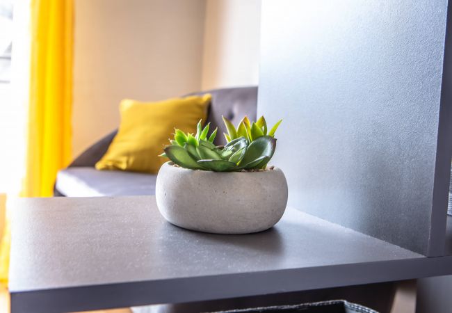 Studio à Brive-la-Gaillarde - Le Petit Joyau - 1 Chambre Studio à Brive-la-Gaillarde - Le Petit Joyau - 1 Chambre