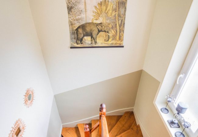 Maison à Brive-la-Gaillarde - La Villa Oasis - Jacuzzi Maison à Brive-la-Gaillarde - La Villa Oasis - Jacuzzi