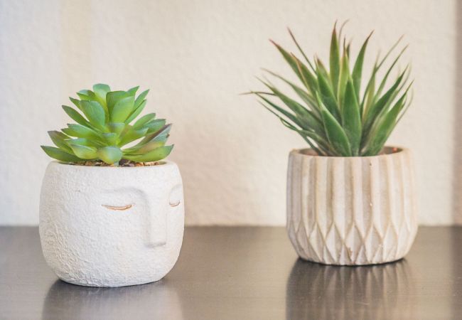 Appartement à Brive-la-Gaillarde - Picasso & Terrasse - 2 Chambres Appartement à Brive-la-Gaillarde - Picasso & Terrasse - 2 Chambres