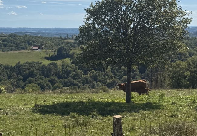 Villa à Tudeils - Le Calme du Verdier - Villa Villa à Tudeils - Le Calme du Verdier - Villa